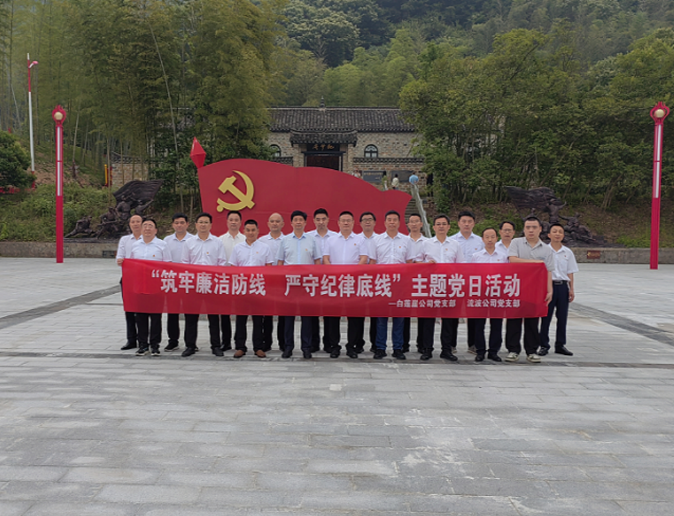 白蓮崖電站、流波電站_副本.png