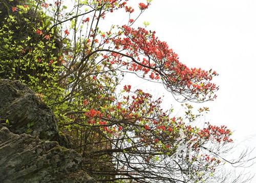 湖南电视广告，多彩多姿的广告世界  湖南电视广告