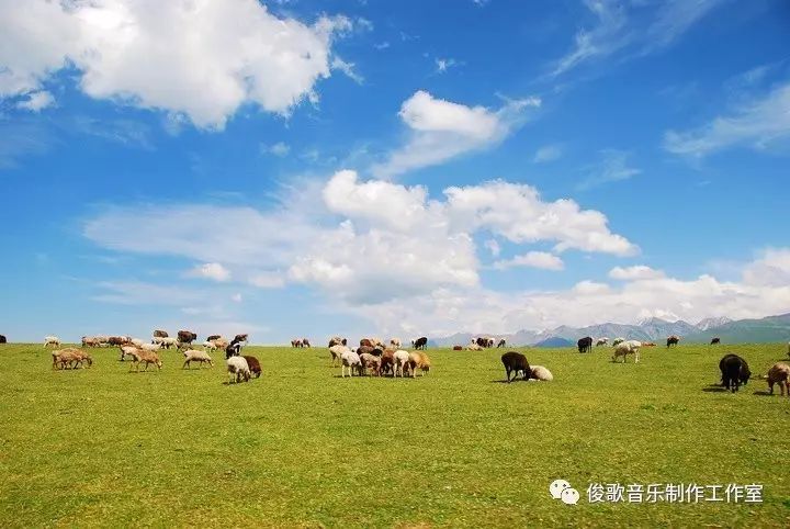 羊小妃妃的草原奇遇  羊小妃妃