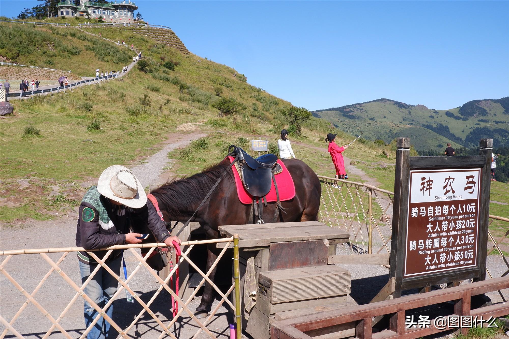 神农架旅游景点大全  神农架旅游景点大全