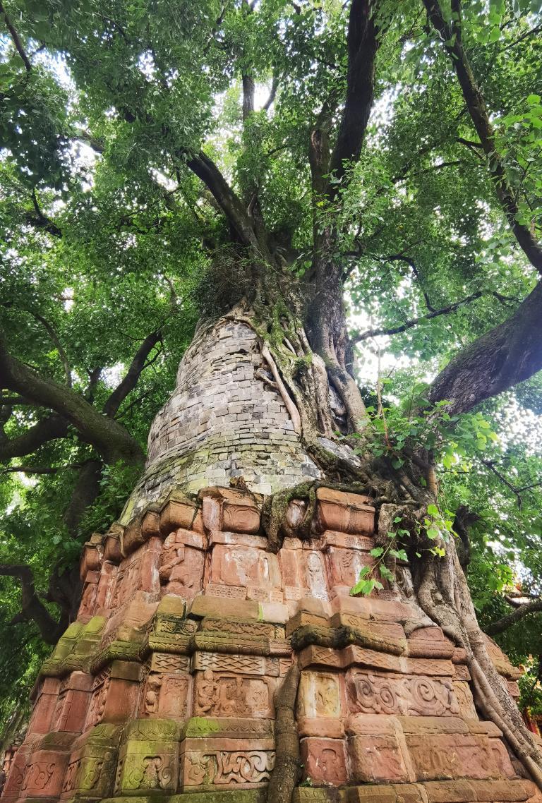 钢结构检测，确保建筑安全与质量的基石  钢结构检测